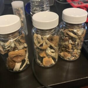 Dried Magic Mushrooms For Sale